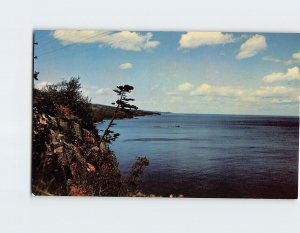 Postcard Gull Rocks North Shore Superior Minnesota USA