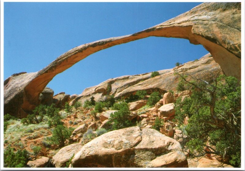 Postcard Arches National Park - Landscape Arch