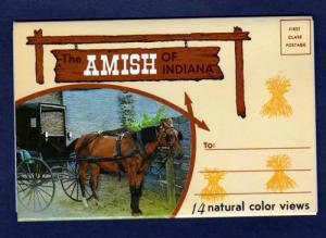 IN The Amish of INDIANA Postcard FOLDER 14 Views