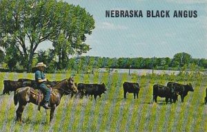 Nebraska Black Angus