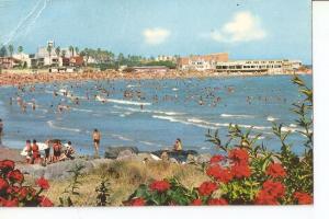 Postal 030942 : Uruguay Montevideo. Playa verde