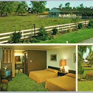 c1970s Ronks, Penna Quiet Haven Motel Amish Country Map Oversized Postcard PA 3S