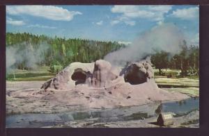 Grotto Geyser Yellowstone National Park Post Card 3703