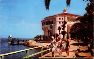 Vtg 1950s The Casino Santa Catalina California CA Unused Postcard