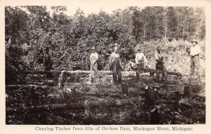 Muskegon River Michigan Oxbow Dam Clearing Timber Real Photo Postcard AA71946