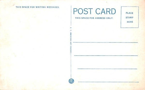 Dancing Pavilion & Tents Allegany State Park, New York Postcard