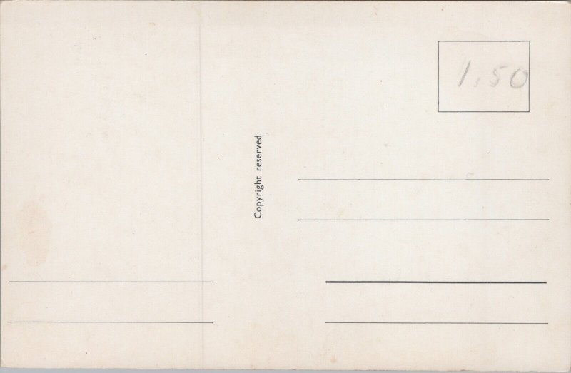 Rex Gildo Actor  Vintage Postcard B237