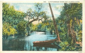 Florida Picturesque Scene on a River, Canoe Against Tree, WB Postcard Unused