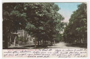 Park Avenue Kenosha Wisconsin 1906  postcard