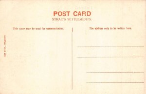 L253 Malaysia Johore The Sultan's Palace postcard