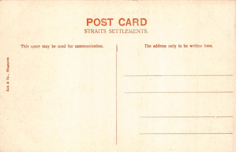 L253 Malaysia Johore The Sultan's Palace postcard