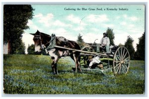 1911 Gathering The Blue Grass Seed Kentucky Industry KY Horse Carriage Postcard