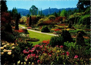 VINTAGE CONTINENTAL SIZE POSTCARD THE BUTCHART GARDENS VICTORIA CANADA