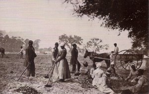 BLACK AMERICANA Freed Enslaved People, Hopkinson Plantation, Edisto Island SC