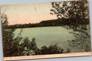 Postcard NY Monticello - Sackett Lake -  Artino