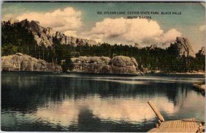 Postcard WATER SCENE Black Hills South Dakota SD AL0024