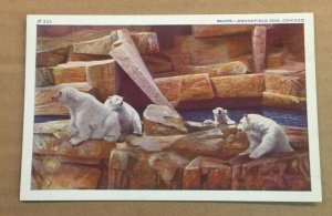 VINTAGE UNUSED .01 POSTCARD - BEARS, BROOKFIELD ZOO, CHICAGO, ILL