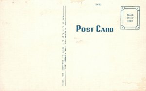 Vintage Postcard 1930's Lower Tahquamenon Falls Newberry Michigan MI