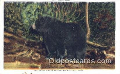 Great Smoky Mountain National Park Bear, Black and Brown Bear Unused 