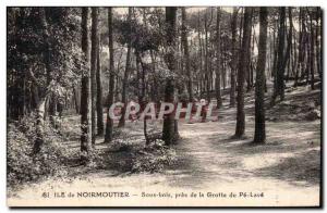 Old Postcard Noirmoutier Undergrowth near the cave of the lava pe