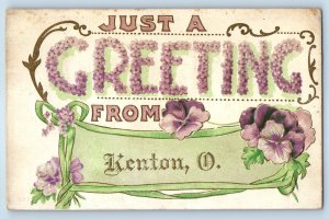 1911 Kenton Ohio OH Vintage Postcard Greetings Flower Glitter Embossed Posted