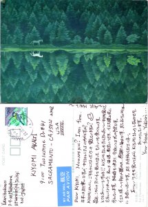 Kaii Higashiyama, Vibrant Greens (9960)