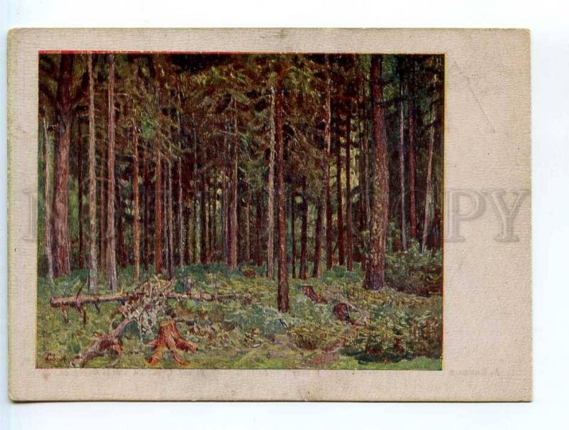 249885 Russia Vasnetsov in forest Vintage Mosoblit postcard