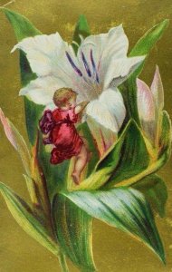 Grand Floral Exhibition French House Plants Fairy-Child On Giant Flower P53