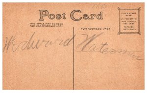 Thanksgiving  Turkey, , Farm Boy