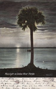 FLORIDA, PU-1906; Moonlight On Indian River