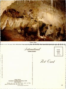 Carlsbad Caverns National Park, New Mexico (4906