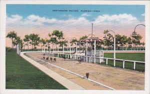 Florida Greyhound Racing