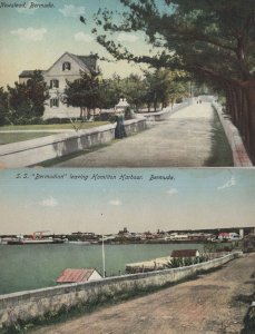 Newstead SS Bermuda 2x Old USA Postcard s