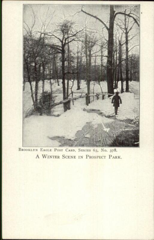 c1905 Brooklyn NY Eagle Postcard #378 Prospect Park in Winter