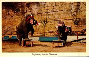 Performing Indian Elephants San Antonio Zoo Texas Postcard UNP Chrome