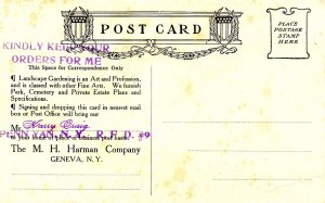 Advertisement - Flower of Fairfield