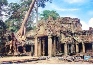 PREAH KHAN TEMPLE (TREE ROOT VIEW)