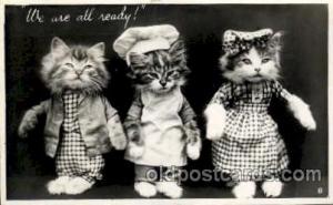 Cat Cats, Post Card, Post Card  