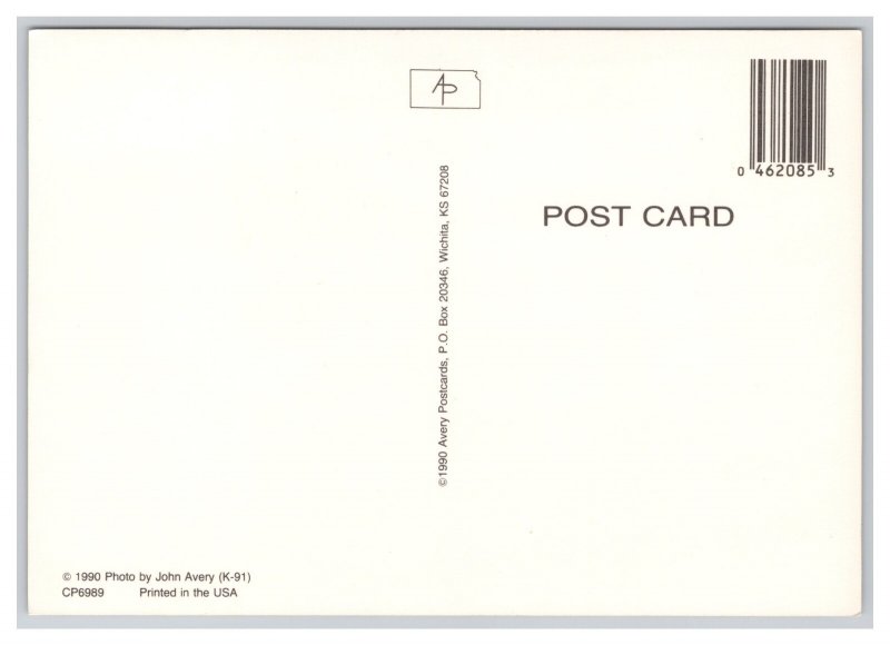 Missing Ewe (Sheep) In Kansas Postcard Continental View