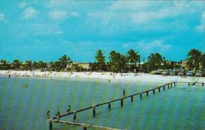 Florida Fort Myers Beach Pelicans and Sea Gulls