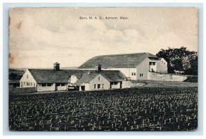 1911 Barn  M. A. C. Amherst MA Postcard Excelsior Germany 
