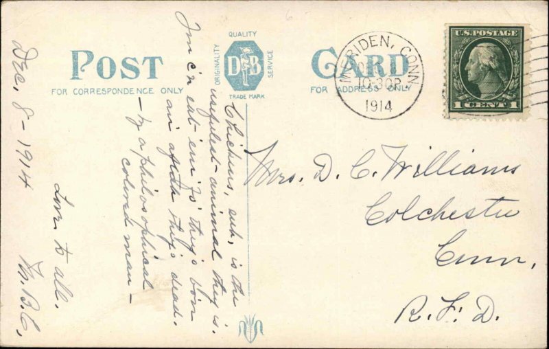 Meriden Conn CT Brookside Park Rustic Bridge c1910 Vintage Postcard