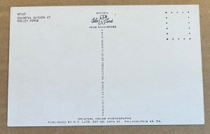 UNUSED POSTCARD - AUTUMN AT VALLEY FORGE, PA.