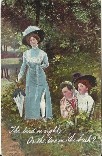 Romantic Sassy Old Postcard The bird in sight; or the two in the bush? Cheeky