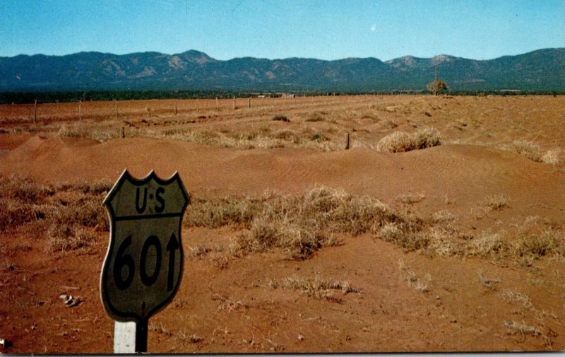 Southwest Desert Country Cactus Along Highway 66