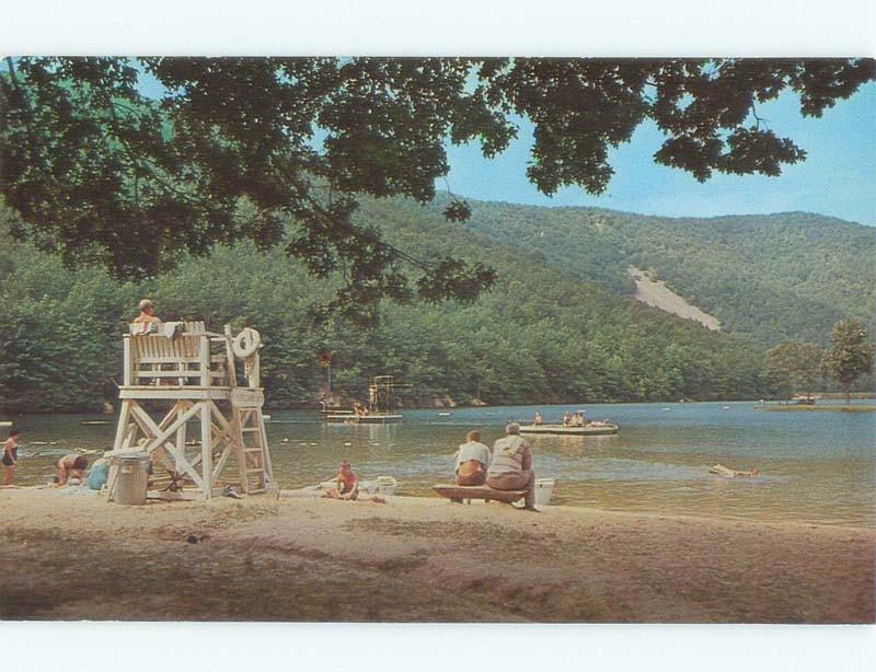 Pre-1980 LIFEGUARD CHAIR Sherando & Lyndhurst By Waynesboro Staunton VA d7138@