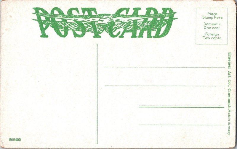 Railroad TUNNEL NATURAL BRIDGE, Kentucky Antique Postcard JC2