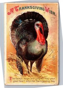 Ellen Clapsaddle Thanksgiving Wish Turkey Vintage Postcard M13