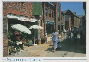 Scarrots Lane Flower Shop Isle Of Wight Florists Postcard