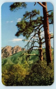 CHIRICAHUA NATIONAL MONUMENT, AZ ~ View of COCHISE HEAD  c1950s  Postcard